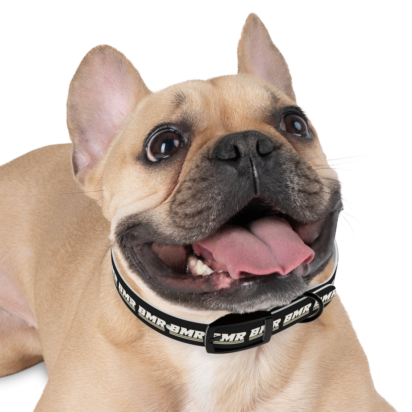 BMR Dog Collar