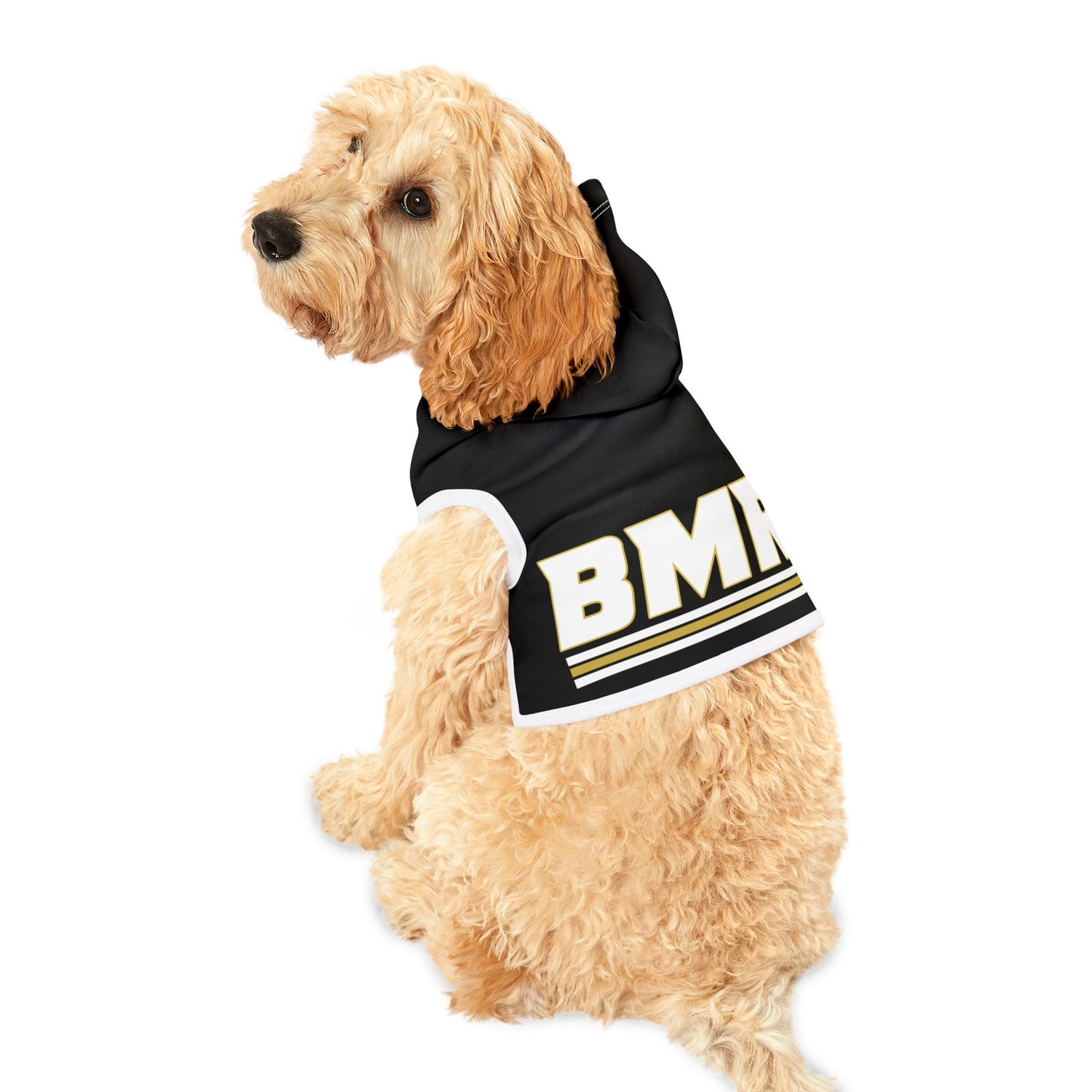 BMR Pet Hoodie
