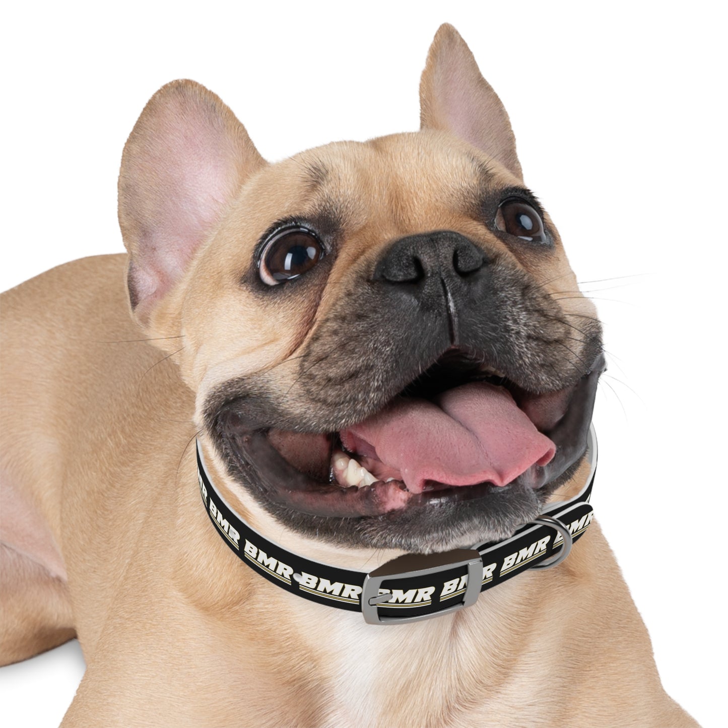 BMR Dog Collar